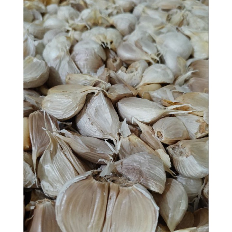 

[KODE PRODUK BPKAC9784] Bawang Putih Kating Bersih (Panen Lama) 1kg