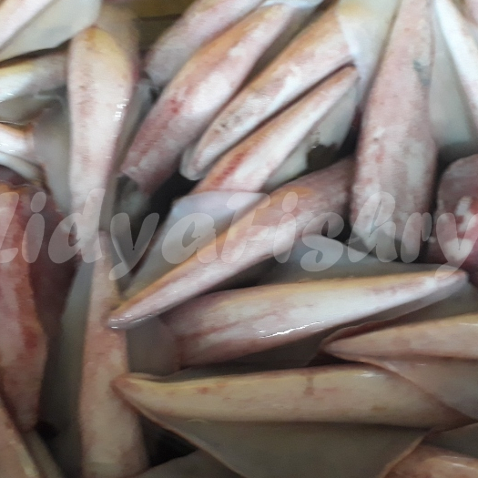 

Cumi Merah Segar Cumi Merah Jumbo 1Kg
