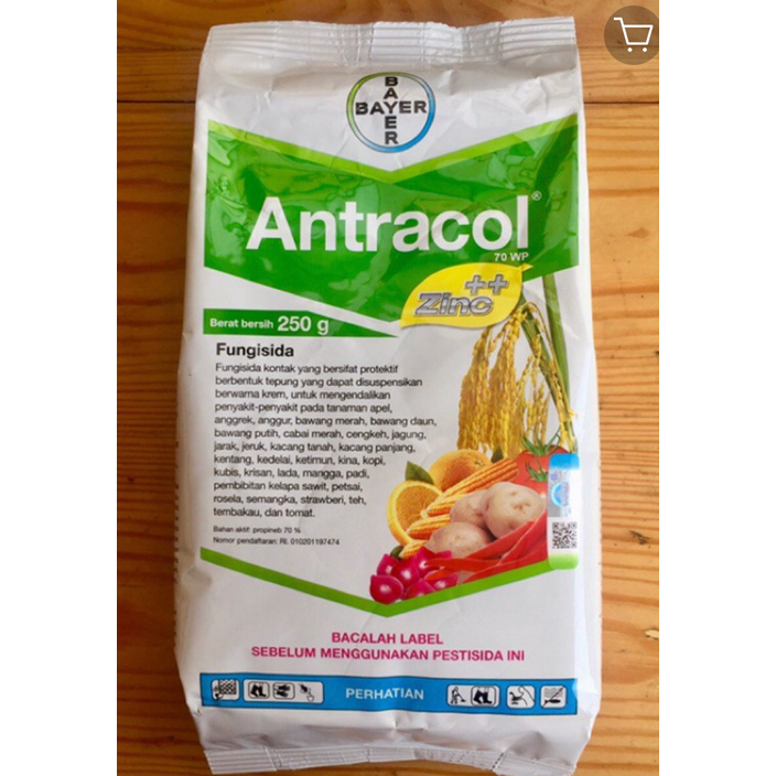 Fungisida antracol 250 gram
