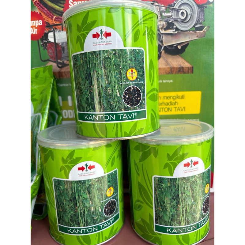 

kacang panjang KANTON TAVI 500 gram