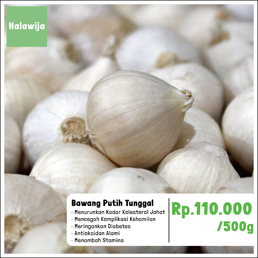 

Bawang Putih Tunggal Lanang Premium Tanpa Pemutih