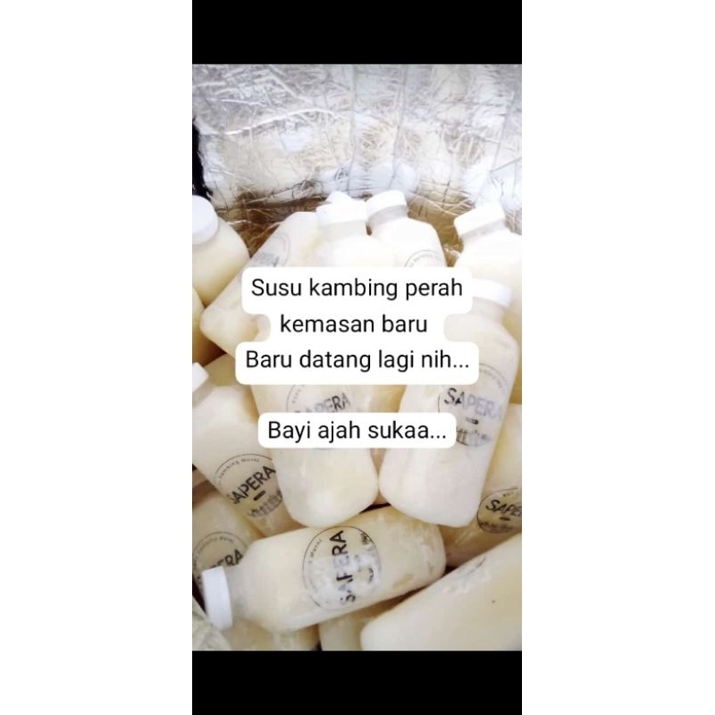 

susu kambing murni sapera