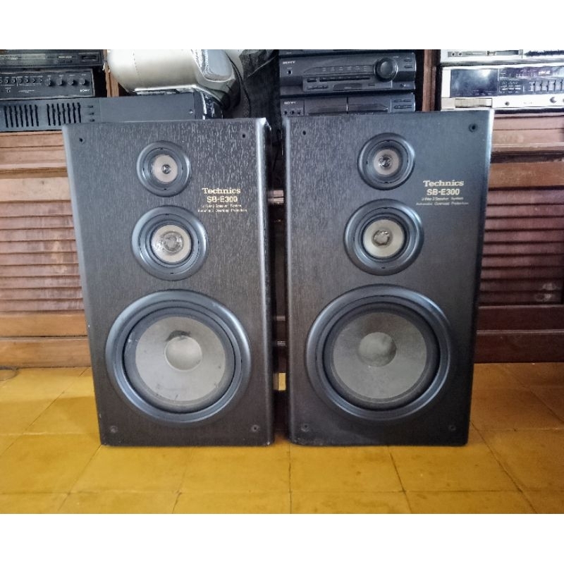 Speaker pasif technics SB E300