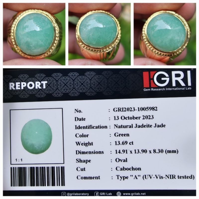 Natural Giok Burma Myanmar Jadeite Jade Type A Memo 13.69 crt