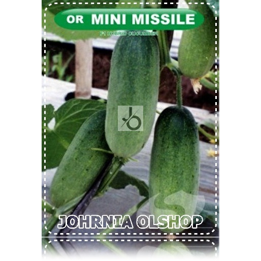 Johrnia 10 Benih Biji Timun MINI MISSILE F1