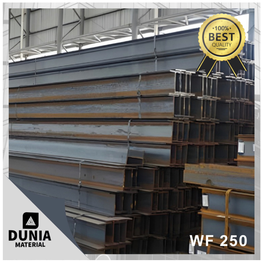 Besi WF 250X125X6X9X12m