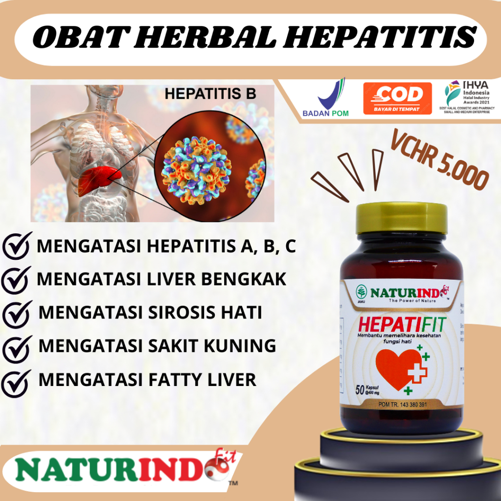 Obat liver Obat Imsomnia Obat Sakit Liver Obat Sakit Kuning Obat Hepatitis Obat Herbal Sakit Liver