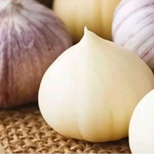 

BAWANG PUTIH TUNGGAL KUPAS BERSIHIN 500grm