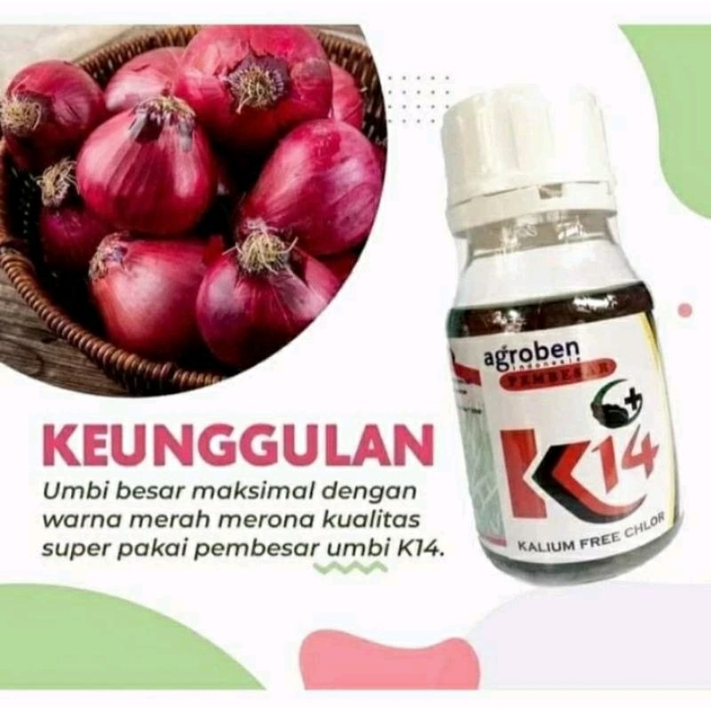 K14 PUPUK ORGANIK CAIR PEMBESAR UMBI