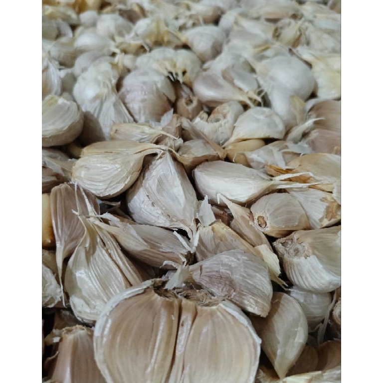 

Kirim Langsung✤ Bawang Putih Kating Bersih (Panen Lama) 1kg 0nczn