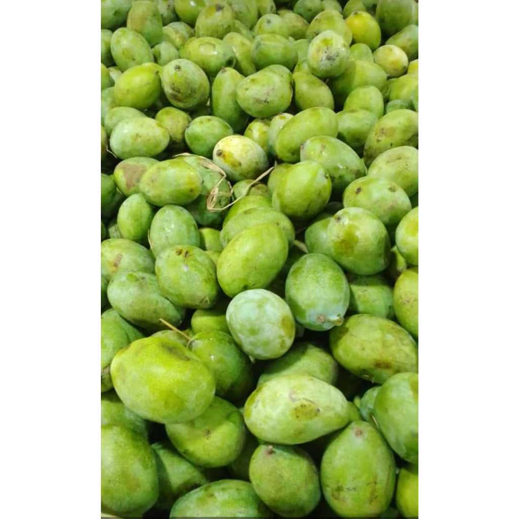 

MANGGA MANALAGI MANIS