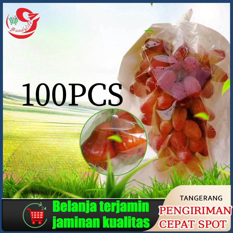 Fruit Cover Transparan/Pembungkus Buah Tembus Pandang Fruit Cover Anggur Transparan Waterproof Brong
