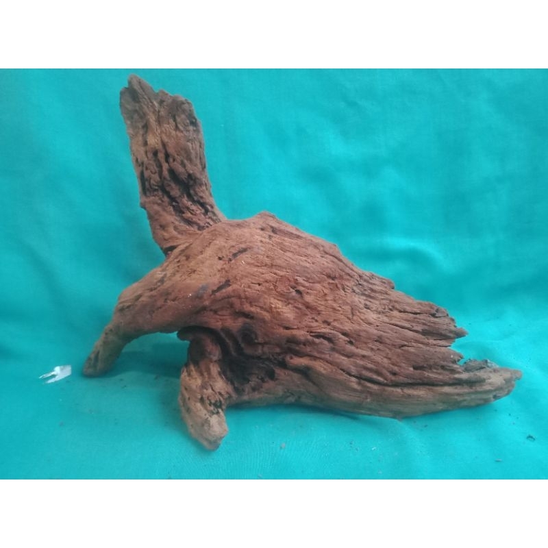 kayu rentek aquascape ful tenggelam