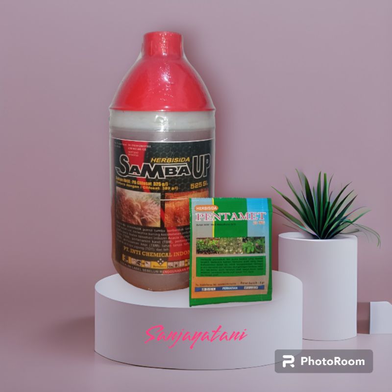 OBAT RUMPUT SAMBA UP 525 SL 1LT ,HERBISIDA SISTEMIK AMPUH (BONUS RALLY 20 WG)