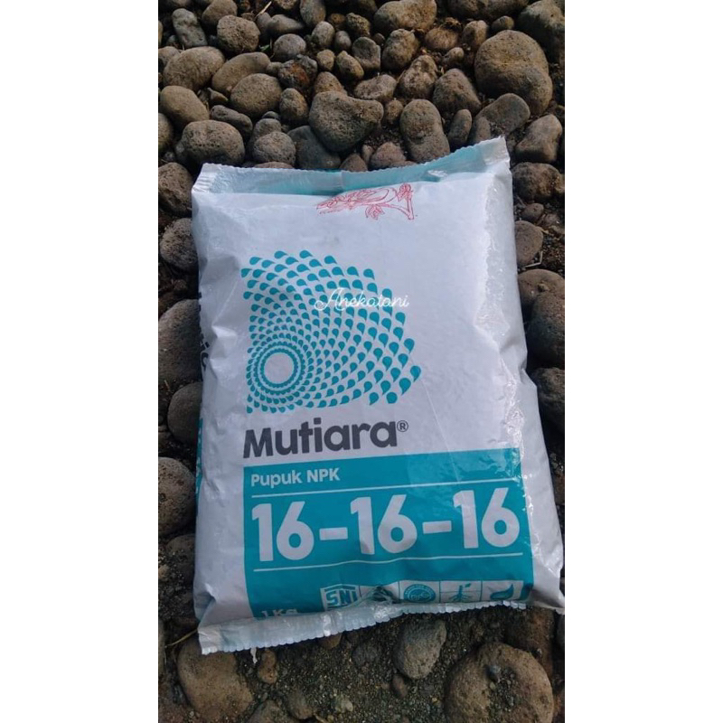 pupuk buah npl mutiara