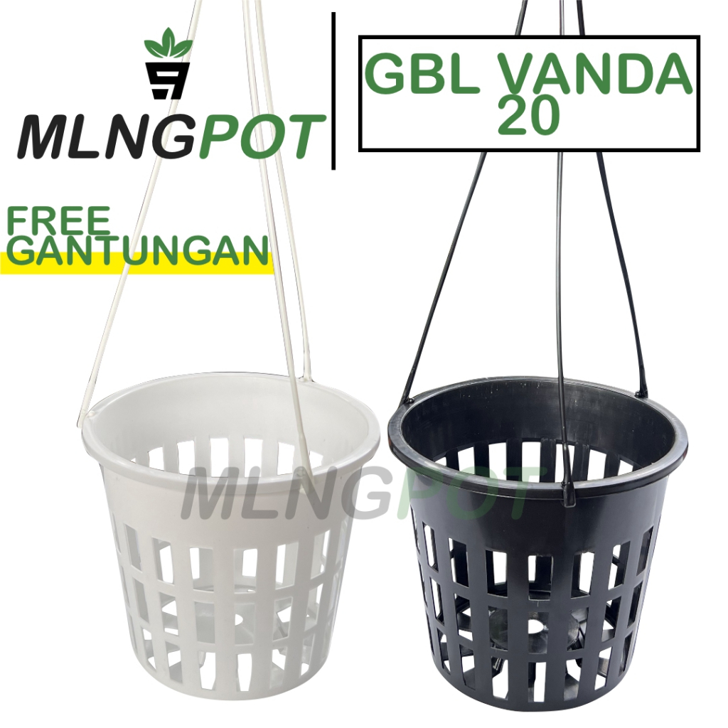 Pot Gantung Anggrek GBL Vanda 20 Free Gantungan Pot Anggrek Jumbo