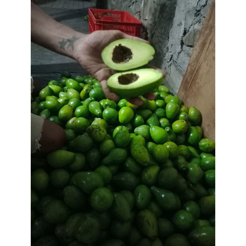 

Buahalpukat