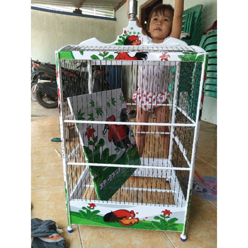 sangkar burung decal cocok buat kenari, cucak ijo dll