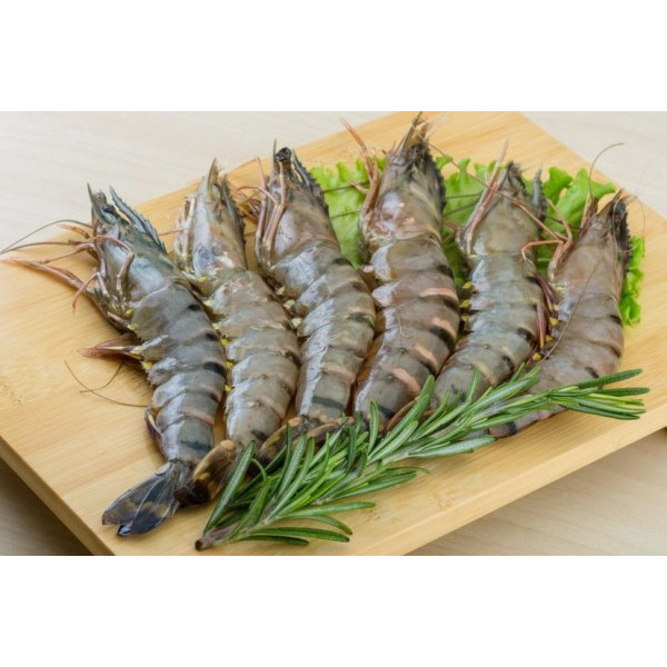 

Udang tiger / udang windu / black tiger prawn kualitas export @1kg