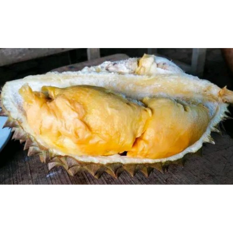 

durian bawor Indonesia