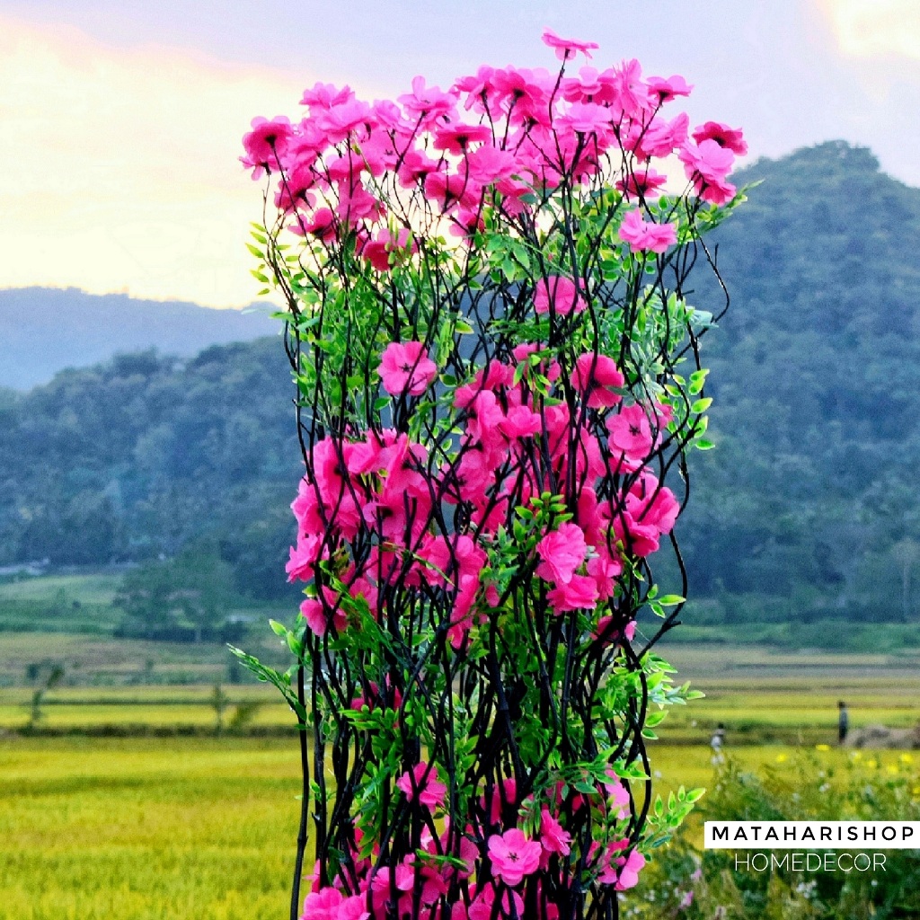 bunga hias plastik 10 Btg Bambu Ulir Hitam Anyelir Pink 170cm (Tanpa Pot)