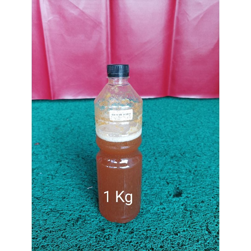 

Madu Sialang Asli / Madu lebah / Honey