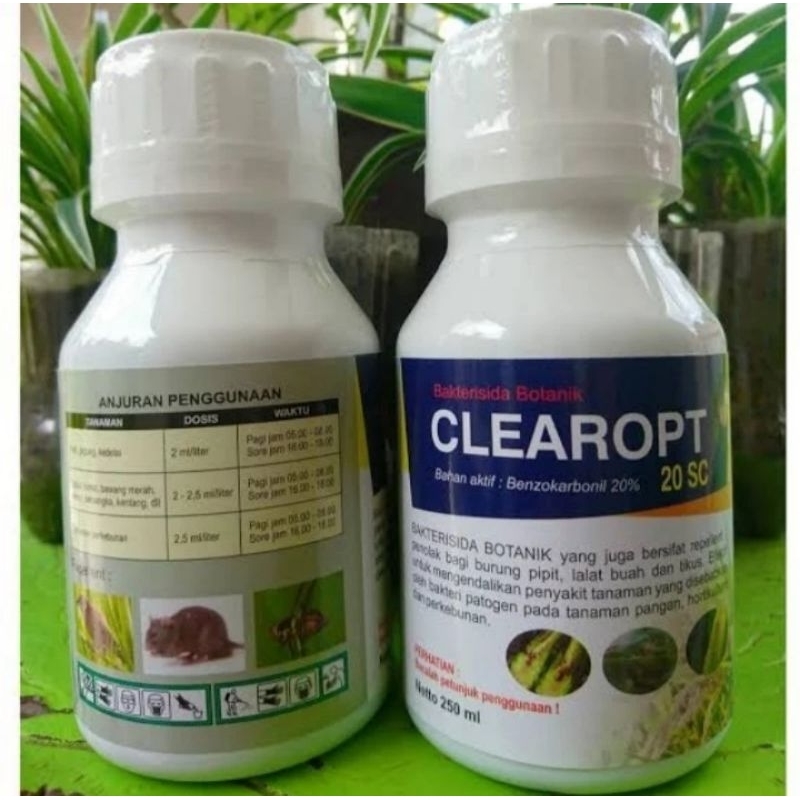 Bakterisida Clearopt 250 ml