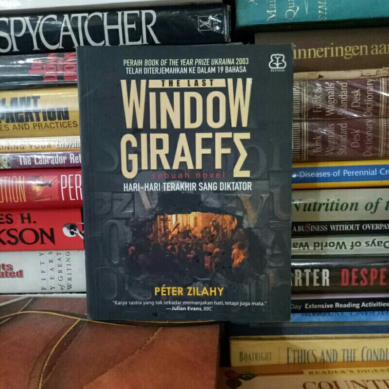 BUKU THE LAST WINDOW GIRAFFE