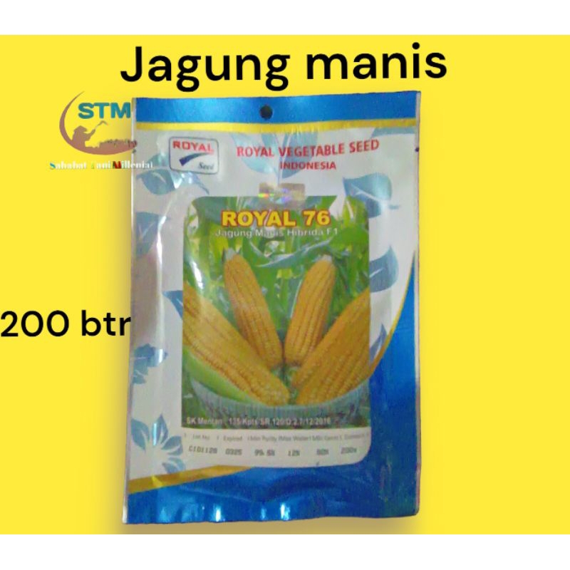 

Jagung manis Royal76 200 butir