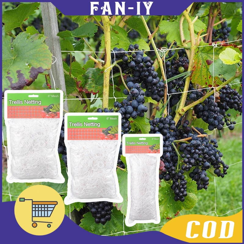 5m 10m 20m Alat Rambatan Tanaman Jaring Pertanian Jaring Sayuran Pohon Rambat Lanjaran Tanaman Meram