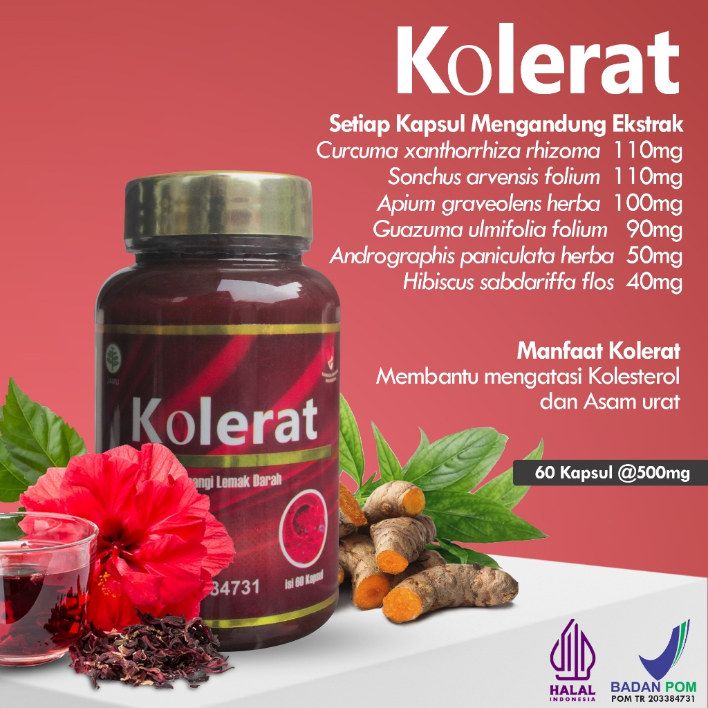 

Obat Herbal Kolesterol Asam Urat BPOM Kolerat Asli Original