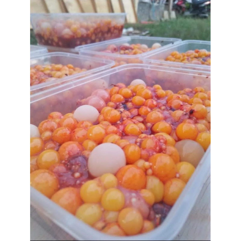 

TELUR BULUS 1kg