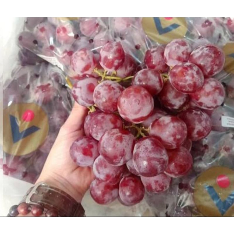 

anggur red Globe 500gr/ PERU IMFOR fress murah