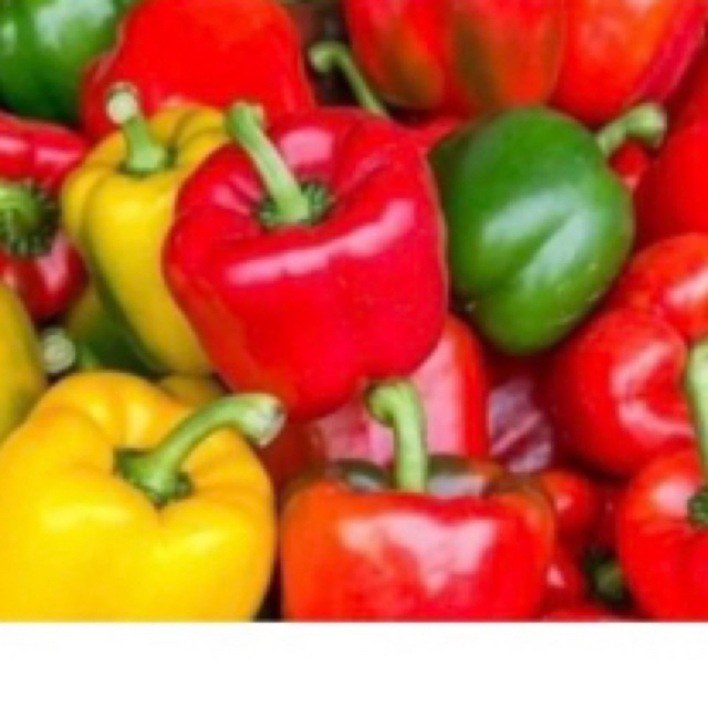

paprika campur 500 gram Rp.45.000