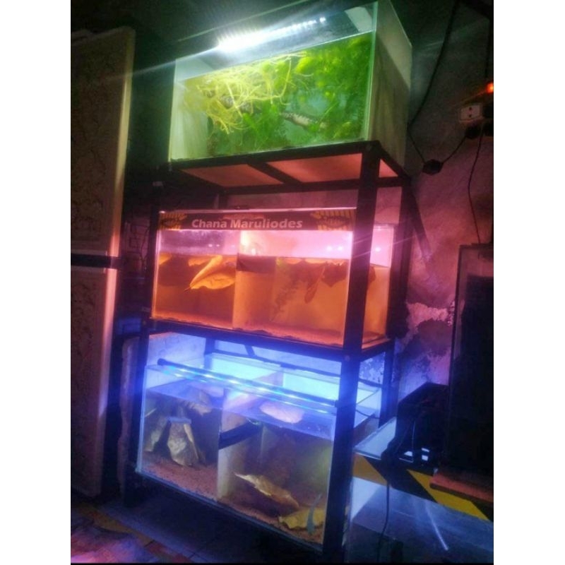 Rak aquarium 30x50 3 susun