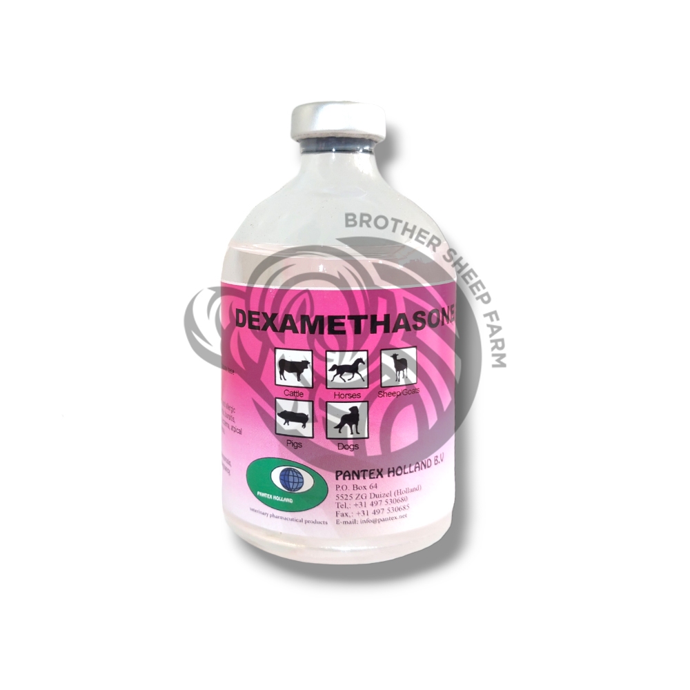 Dexamethason 100 ml Pantex Holland Hewan Kucing Domba Kambing Sapi dll