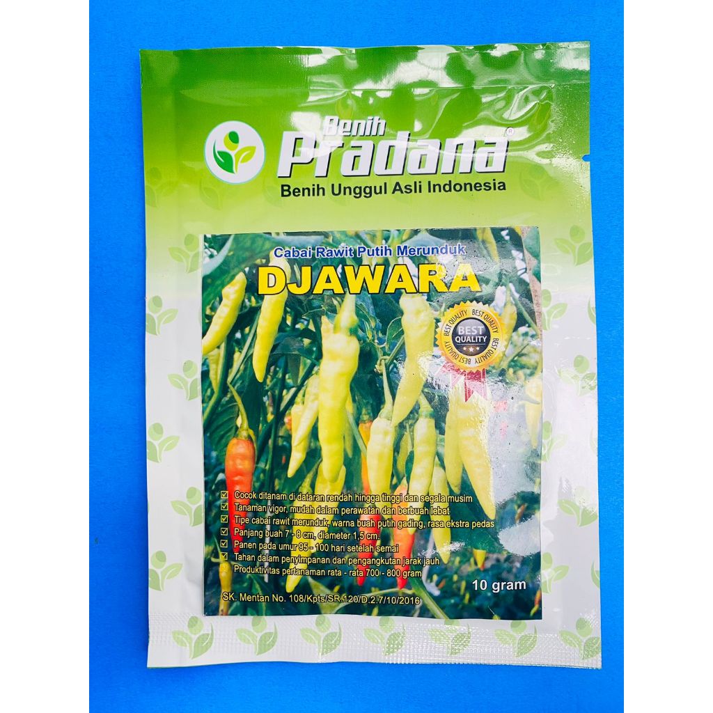 Promo Benih cabai rawit putih DJAWARA isi 10gr dari BENIH PRADANA