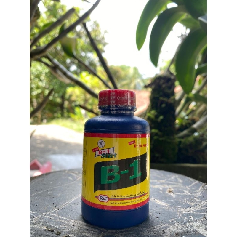 Vitamin B-1 Thailand