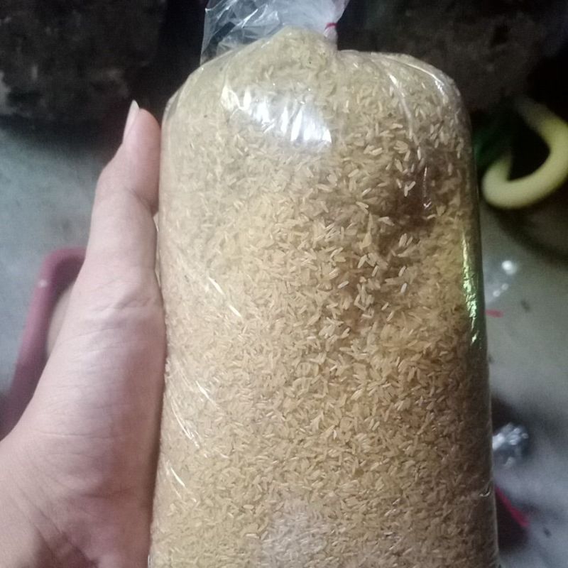 telur jangkrik alam 1kg