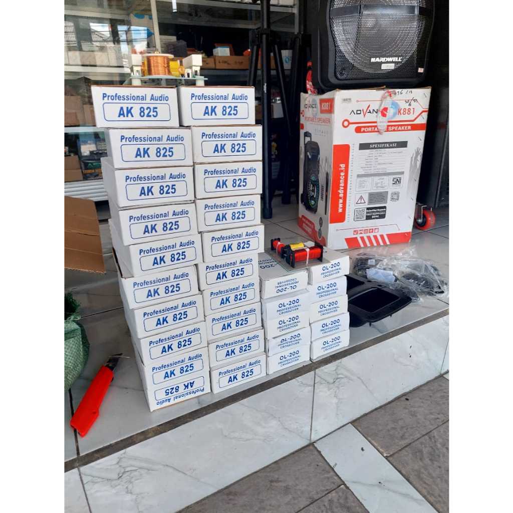 Crossover Network professional Audio AK-825