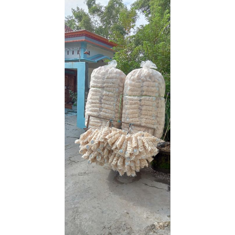 

krupuk bawang