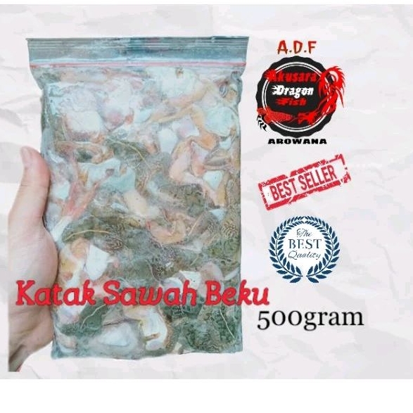 KODOK BEKU / KATAK SAWAH BEKU PAKAN IKAN ARWANA PREDATOR