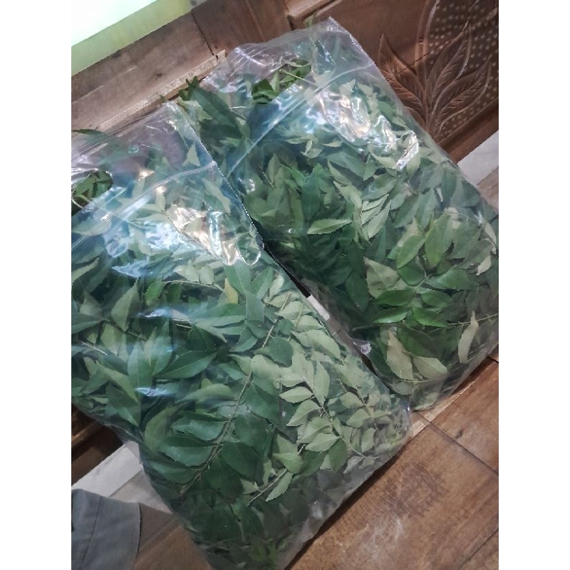 

Daun Kari Segar salam koja Petik Kirim