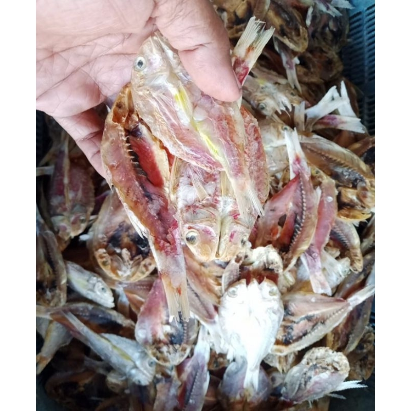

Ikan Asin Kunir Merah