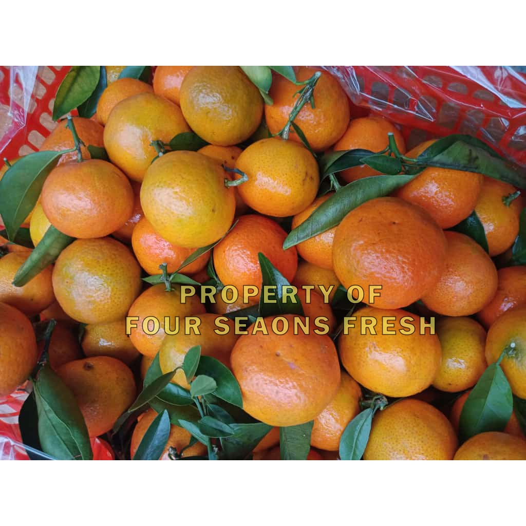 MANIS JERUK SANTANG 1 KERANJANG SEGAR BANYAK AIR MANIS