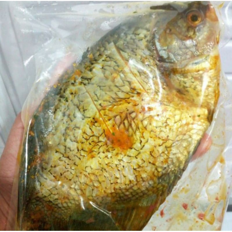 

Ikan Gurame Ungkep