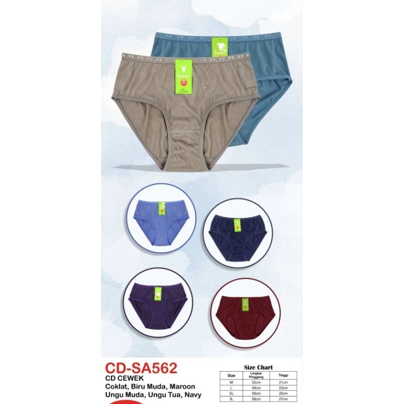 CD Wanita Yutind Karet kecil anti bakteri