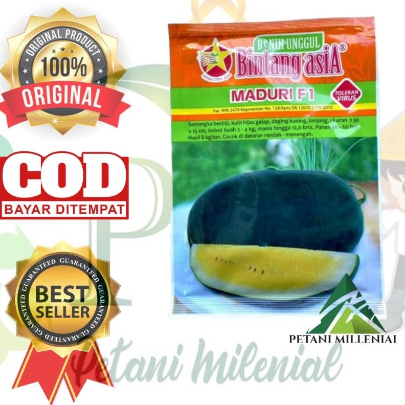 GROSIR BENIH SEMANGKA INUL MADURI 20 gram - BIBIT SEMANGKA INUL DAGING KUNING BINTANG ASIA !!