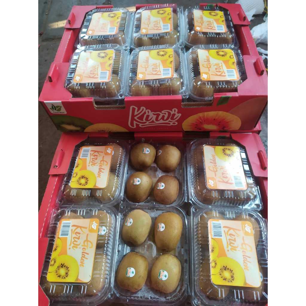 

KIWI GOLD NZ 6PCS