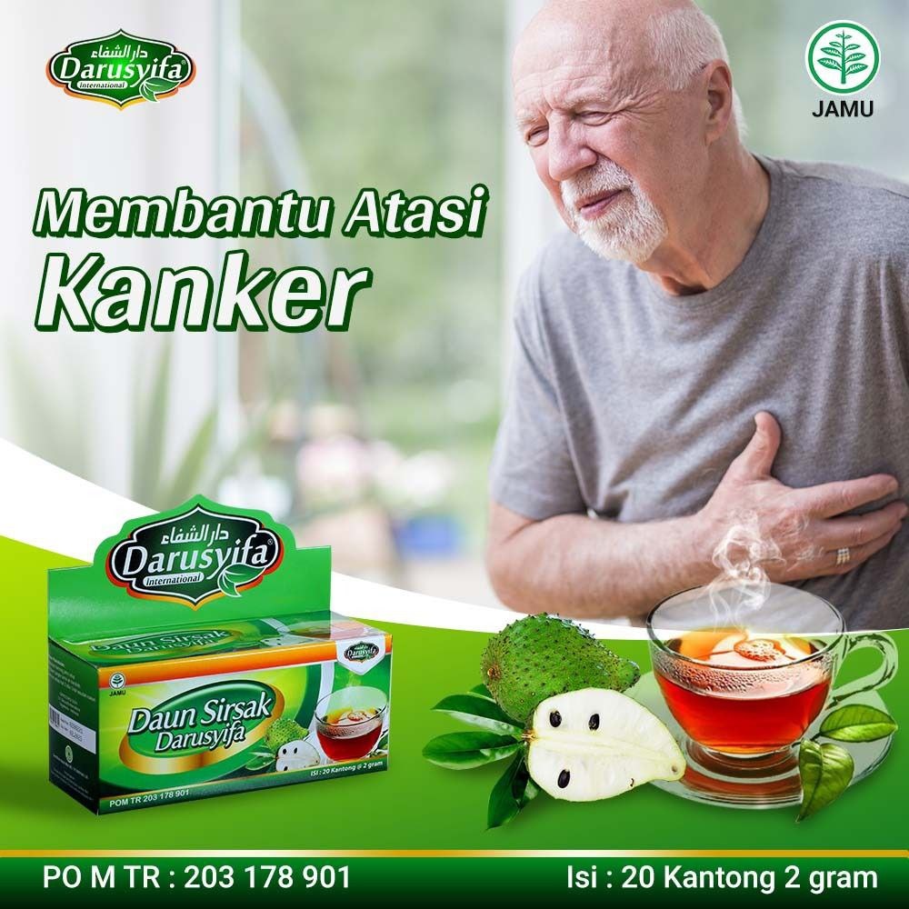 

Teh Daun Sirsak Darusyifa Alami Teh Celup Herbal Kanker || || teh sirsak / sirsak